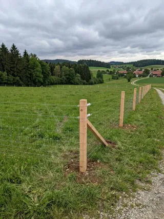 Weidezaun in Magdeburg - fachgerechte Ausführung vor Ort